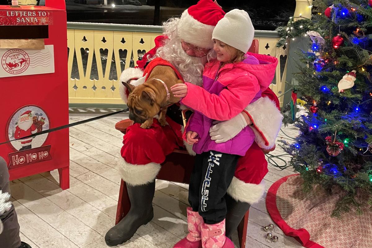 Puppy visits Santa on the gazebo